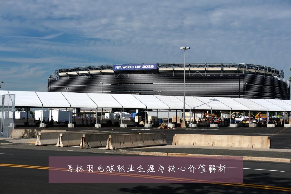 马林羽毛球职业生涯与核心价值解析